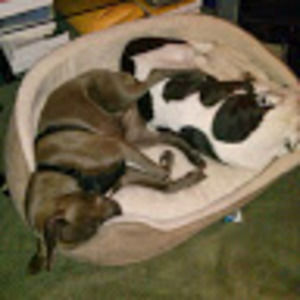 Meet your Posher, Richard